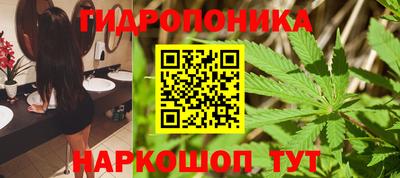 прущие грибы Кунгур
