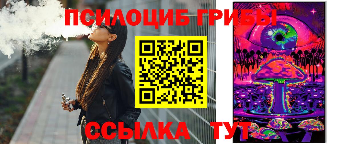 Псилоцибиновые грибы Psilocybine cubensis Зима