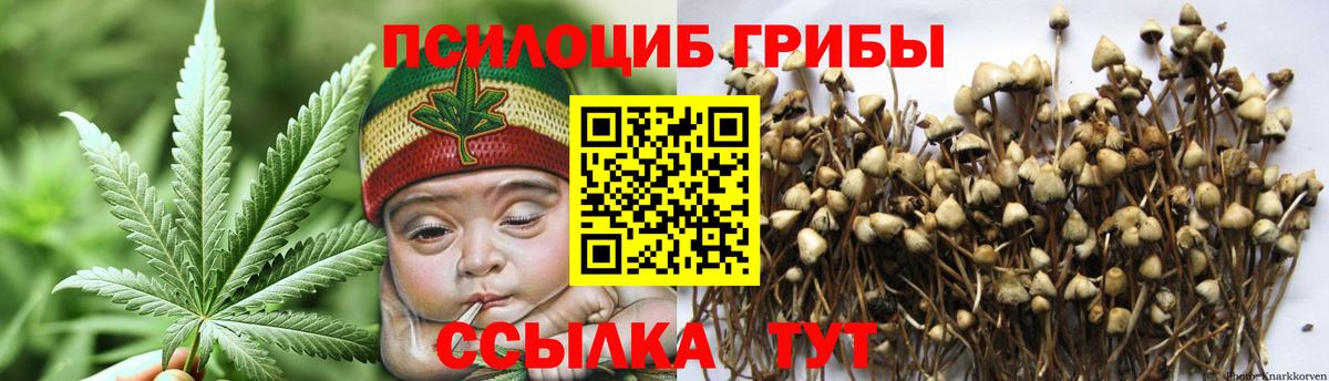 где найти наркотики  Вход с VPN  Галлюциногенные грибы Psilocybine cubensis  Зима  Псилоцибиновые грибы ЛСД 